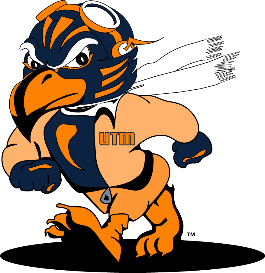 Tennessee-Martin Skyhawks 2007-2020 Mascot Logo v2 t shirts iron on transfers